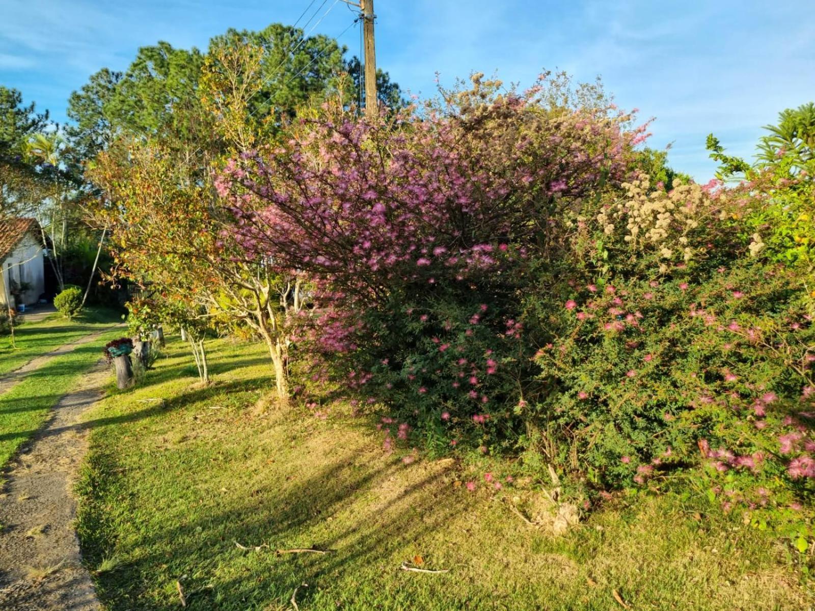Villa Chacara Aquila São Roque Exterior foto