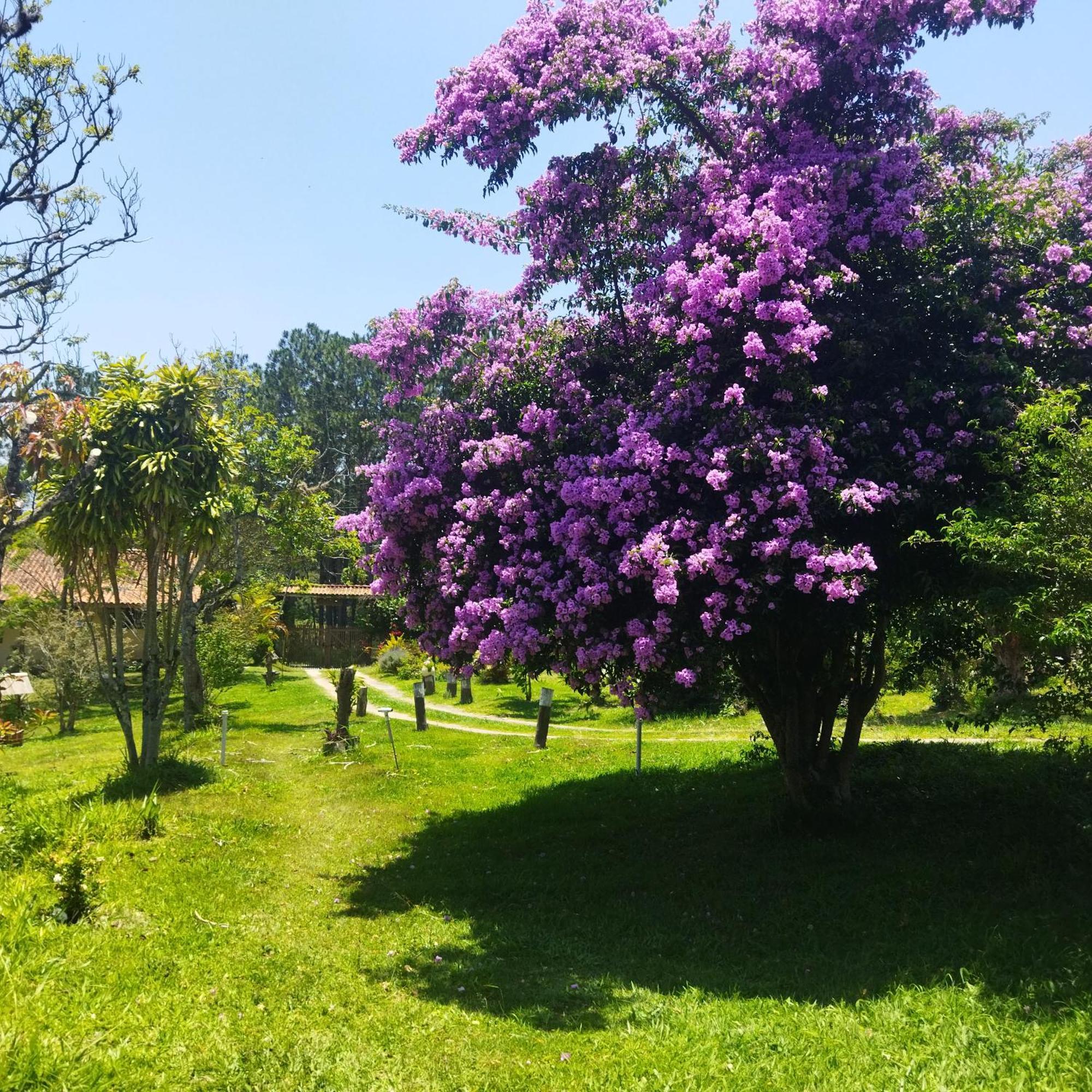 Villa Chacara Aquila São Roque Exterior foto